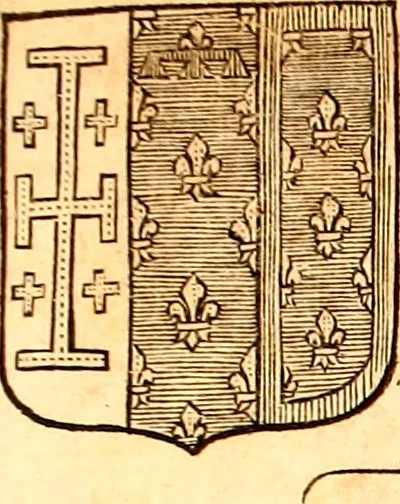 An illustration from Les généaologies historiques des rois, empereurs, &c : et de toutes les maisons souveraines qui ont subsisté jusqu'à présent, exposées dans les cartes généalogiques tirées des meilleurs auteurs, avec des explications historiques et chronologiques .., 1736, leaf 422