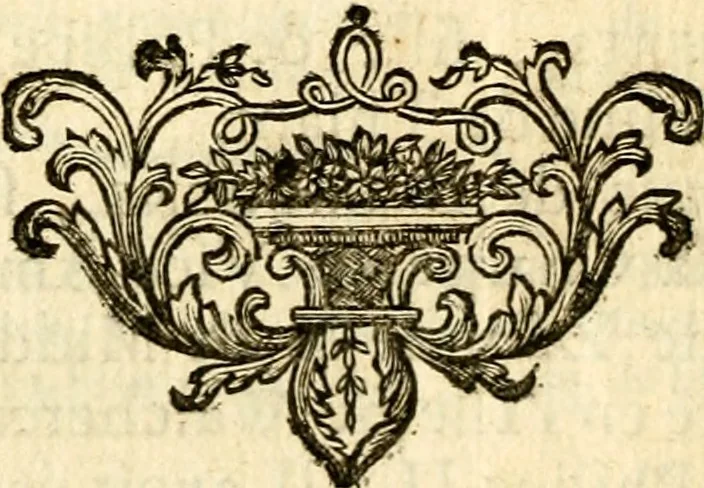 An illustration from Les généaologies historiques des rois, empereurs, &c : et de toutes les maisons souveraines qui ont subsisté jusqu'à présent, exposées dans les cartes généalogiques tirées des meilleurs auteurs, avec des explications historiques et chronologiques .., 1736, leaf 465