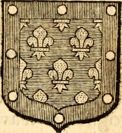 An illustration from Les généaologies historiques des rois, empereurs, &c : et de toutes les maisons souveraines qui ont subsisté jusqu'à présent, exposées dans les cartes généalogiques tirées des meilleurs auteurs, avec des explications historiques et chronologiques .., 1736, leaf 483