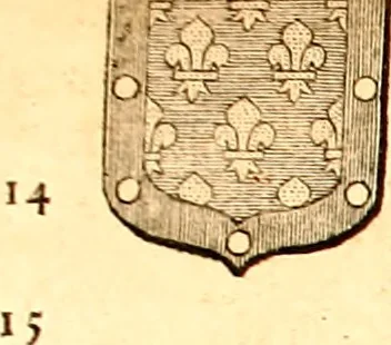 An illustration from Les généaologies historiques des rois, empereurs, &c : et de toutes les maisons souveraines qui ont subsisté jusqu'à présent, exposées dans les cartes généalogiques tirées des meilleurs auteurs, avec des explications historiques et chronologiques .., 1736, leaf 484