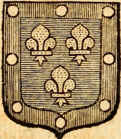 An illustration from Les généaologies historiques des rois, empereurs, &c : et de toutes les maisons souveraines qui ont subsisté jusqu'à présent, exposées dans les cartes généalogiques tirées des meilleurs auteurs, avec des explications historiques et chronologiques .., 1736, leaf 488