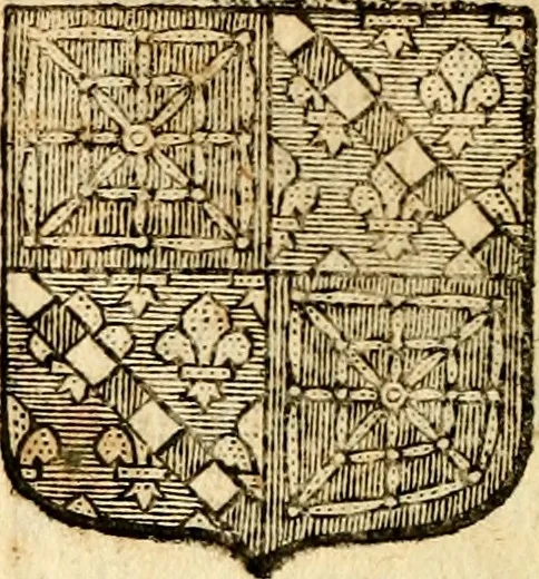An illustration from Les généaologies historiques des rois, empereurs, &c : et de toutes les maisons souveraines qui ont subsisté jusqu'à présent, exposées dans les cartes généalogiques tirées des meilleurs auteurs, avec des explications historiques et chronologiques .., 1736, leaf 495