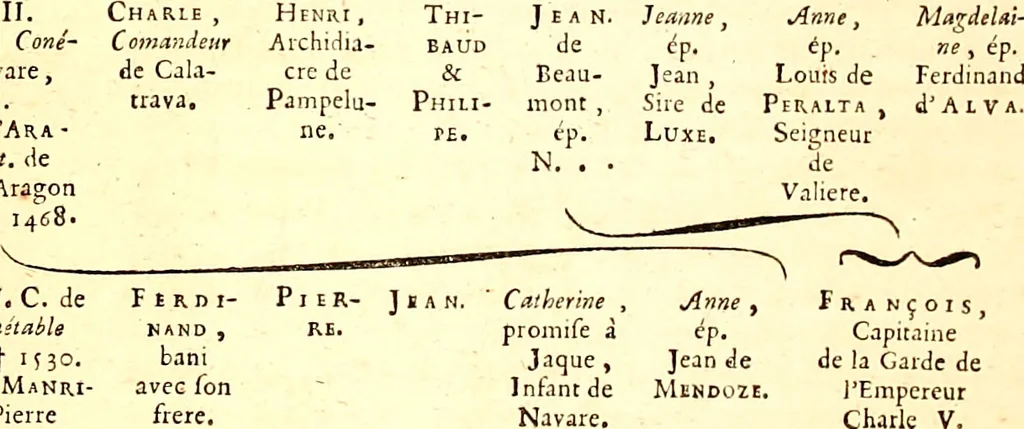 An illustration from Les généaologies historiques des rois, empereurs, &c : et de toutes les maisons souveraines qui ont subsisté jusqu'à présent, exposées dans les cartes généalogiques tirées des meilleurs auteurs, avec des explications historiques et chronologiques .., 1736, leaf 509