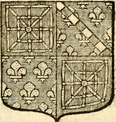 An illustration from Les généaologies historiques des rois, empereurs, &c : et de toutes les maisons souveraines qui ont subsisté jusqu'à présent, exposées dans les cartes généalogiques tirées des meilleurs auteurs, avec des explications historiques et chronologiques .., 1736, leaf 511