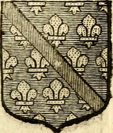 An illustration from Les généaologies historiques des rois, empereurs, &c : et de toutes les maisons souveraines qui ont subsisté jusqu'à présent, exposées dans les cartes généalogiques tirées des meilleurs auteurs, avec des explications historiques et chronologiques .., 1736, leaf 519