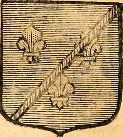 An illustration from Les généaologies historiques des rois, empereurs, &c : et de toutes les maisons souveraines qui ont subsisté jusqu'à présent, exposées dans les cartes généalogiques tirées des meilleurs auteurs, avec des explications historiques et chronologiques .., 1736, leaf 542