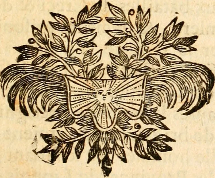 An illustration from Les généaologies historiques des rois, empereurs, &c : et de toutes les maisons souveraines qui ont subsisté jusqu'à présent, exposées dans les cartes généalogiques tirées des meilleurs auteurs, avec des explications historiques et chronologiques .., 1736, leaf 548