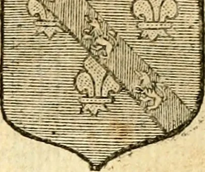 An illustration from Les généaologies historiques des rois, empereurs, &c : et de toutes les maisons souveraines qui ont subsisté jusqu'à présent, exposées dans les cartes généalogiques tirées des meilleurs auteurs, avec des explications historiques et chronologiques .., 1736, leaf 551