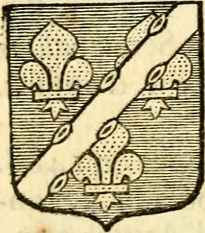 An illustration from Les généaologies historiques des rois, empereurs, &c : et de toutes les maisons souveraines qui ont subsisté jusqu'à présent, exposées dans les cartes généalogiques tirées des meilleurs auteurs, avec des explications historiques et chronologiques .., 1736, leaf 563