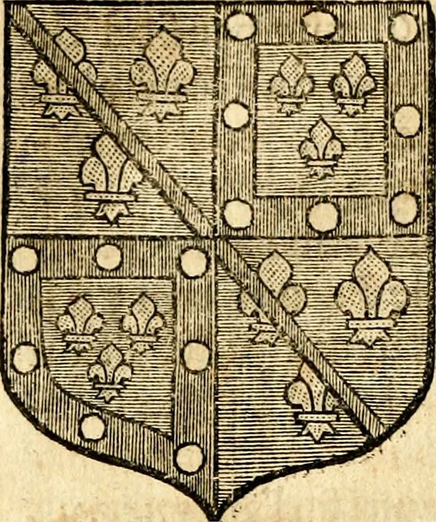 An illustration from Les généaologies historiques des rois, empereurs, &c : et de toutes les maisons souveraines qui ont subsisté jusqu'à présent, exposées dans les cartes généalogiques tirées des meilleurs auteurs, avec des explications historiques et chronologiques .., 1736, leaf 571
