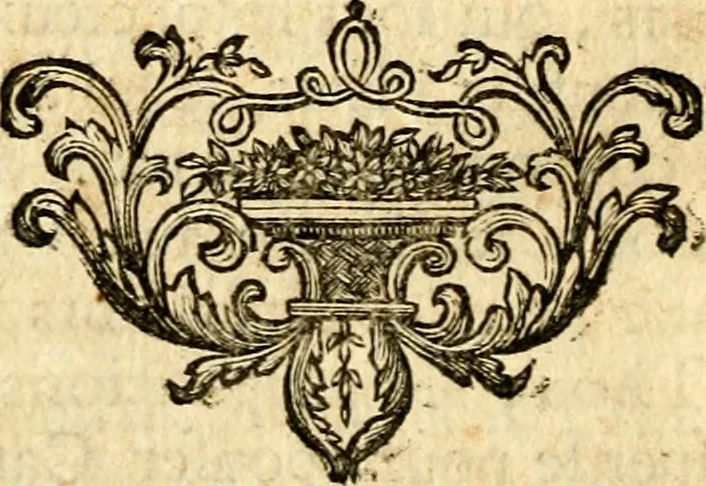 An illustration from Les généaologies historiques des rois, empereurs, &c : et de toutes les maisons souveraines qui ont subsisté jusqu'à présent, exposées dans les cartes généalogiques tirées des meilleurs auteurs, avec des explications historiques et chronologiques .., 1736, leaf 573