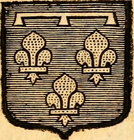 An illustration from Les généaologies historiques des rois, empereurs, &c : et de toutes les maisons souveraines qui ont subsisté jusqu'à présent, exposées dans les cartes généalogiques tirées des meilleurs auteurs, avec des explications historiques et chronologiques .., 1736, leaf 608