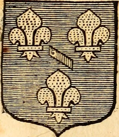 An illustration from Les généaologies historiques des rois, empereurs, &c : et de toutes les maisons souveraines qui ont subsisté jusqu'à présent, exposées dans les cartes généalogiques tirées des meilleurs auteurs, avec des explications historiques et chronologiques .., 1736, leaf 630