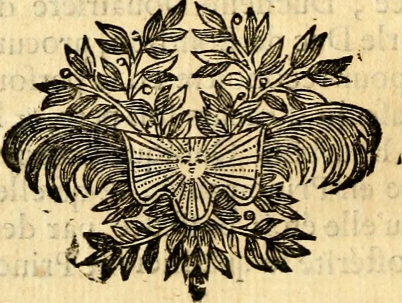 An illustration from Les généaologies historiques des rois, empereurs, &c : et de toutes les maisons souveraines qui ont subsisté jusqu'à présent, exposées dans les cartes généalogiques tirées des meilleurs auteurs, avec des explications historiques et chronologiques .., 1736, leaf 653