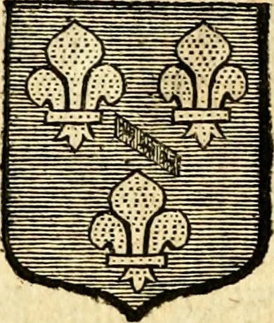 An illustration from Les généaologies historiques des rois, empereurs, &c : et de toutes les maisons souveraines qui ont subsisté jusqu'à présent, exposées dans les cartes généalogiques tirées des meilleurs auteurs, avec des explications historiques et chronologiques .., 1736, leaf 665