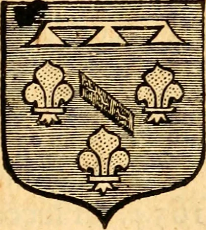 An illustration from Les généaologies historiques des rois, empereurs, &c : et de toutes les maisons souveraines qui ont subsisté jusqu'à présent, exposées dans les cartes généalogiques tirées des meilleurs auteurs, avec des explications historiques et chronologiques .., 1736, leaf 666