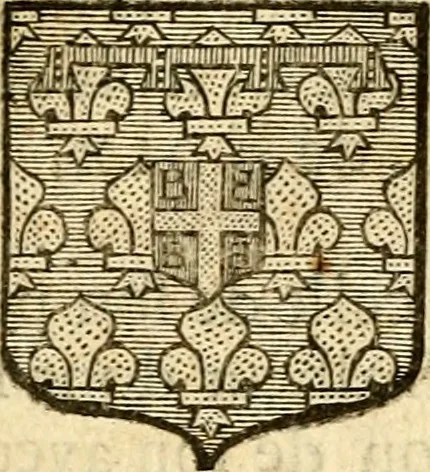 An illustration from Les généaologies historiques des rois, empereurs, &c : et de toutes les maisons souveraines qui ont subsisté jusqu'à présent, exposées dans les cartes généalogiques tirées des meilleurs auteurs, avec des explications historiques et chronologiques .., 1736, leaf 699