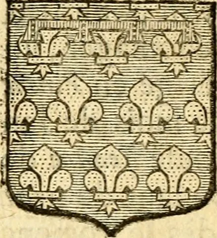 An illustration from Les généaologies historiques des rois, empereurs, &c : et de toutes les maisons souveraines qui ont subsisté jusqu'à présent, exposées dans les cartes généalogiques tirées des meilleurs auteurs, avec des explications historiques et chronologiques .., 1736, leaf 699