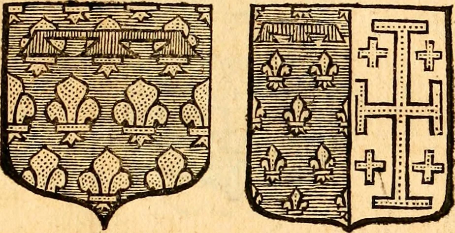 An illustration from Les généaologies historiques des rois, empereurs, &c : et de toutes les maisons souveraines qui ont subsisté jusqu'à présent, exposées dans les cartes généalogiques tirées des meilleurs auteurs, avec des explications historiques et chronologiques .., 1736, leaf 704