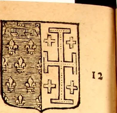 An illustration from Les généaologies historiques des rois, empereurs, &c : et de toutes les maisons souveraines qui ont subsisté jusqu'à présent, exposées dans les cartes généalogiques tirées des meilleurs auteurs, avec des explications historiques et chronologiques .., 1736, leaf 705