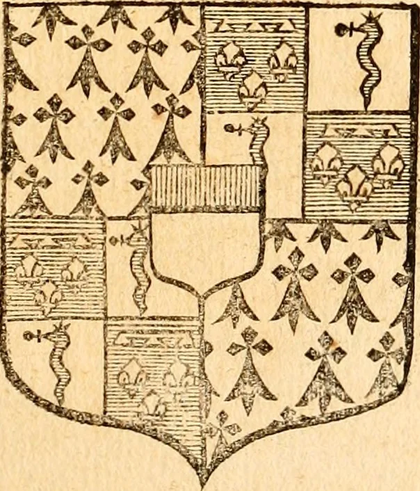 An illustration from Les généaologies historiques des rois, empereurs, &c : et de toutes les maisons souveraines qui ont subsisté jusqu'à présent, exposées dans les cartes généalogiques tirées des meilleurs auteurs, avec des explications historiques et chronologiques .., 1736, leaf 708