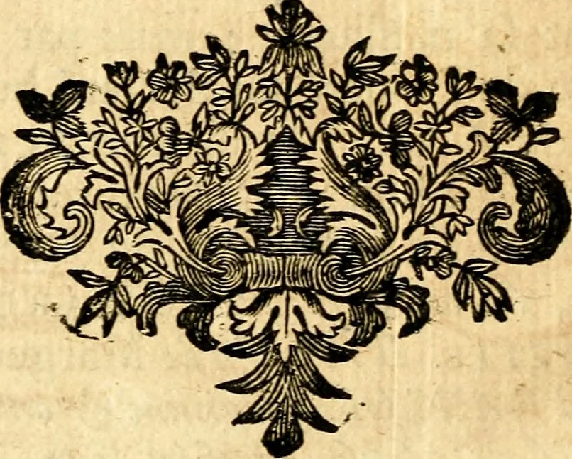An illustration from Les généaologies historiques des rois, empereurs, &c : et de toutes les maisons souveraines qui ont subsisté jusqu'à présent, exposées dans les cartes généalogiques tirées des meilleurs auteurs, avec des explications historiques et chronologiques .., 1736, leaf 733