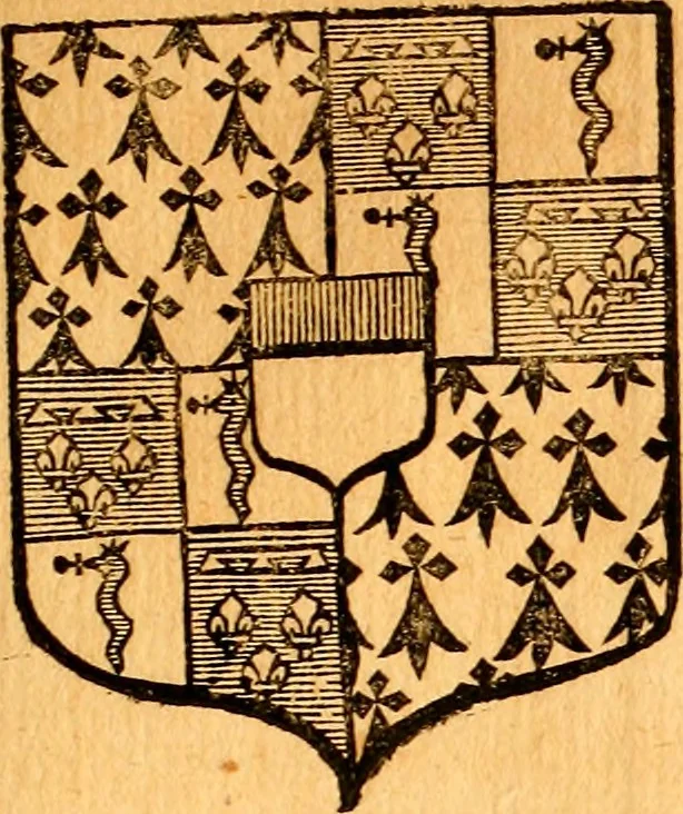 An illustration from Les généaologies historiques des rois, empereurs, &c : et de toutes les maisons souveraines qui ont subsisté jusqu'à présent, exposées dans les cartes généalogiques tirées des meilleurs auteurs, avec des explications historiques et chronologiques .., 1736, leaf 738