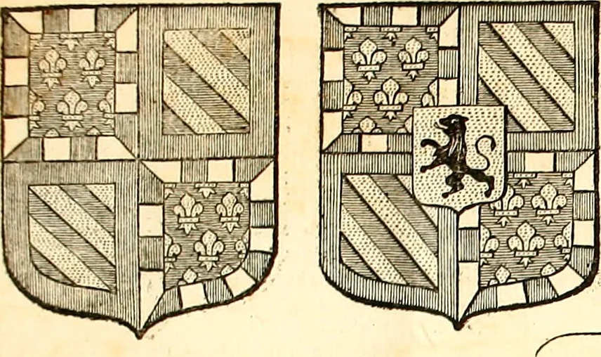 An illustration from Les généaologies historiques des rois, empereurs, &c : et de toutes les maisons souveraines qui ont subsisté jusqu'à présent, exposées dans les cartes généalogiques tirées des meilleurs auteurs, avec des explications historiques et chronologiques .., 1736, leaf 776