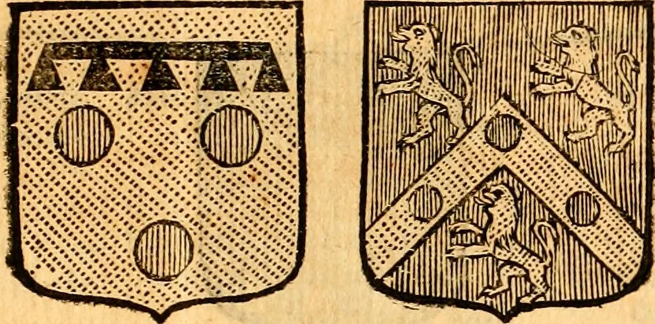 An illustration from Les généaologies historiques des rois, empereurs, &c : et de toutes les maisons souveraines qui ont subsisté jusqu'à présent, exposées dans les cartes généalogiques tirées des meilleurs auteurs, avec des explications historiques et chronologiques .., 1736, leaf 790