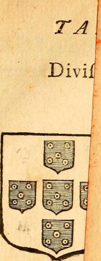 An illustration from Les généaologies historiques des rois, empereurs, &c : et de toutes les maisons souveraines qui ont subsisté jusqu'à présent, exposées dans les cartes généalogiques tirées des meilleurs auteurs, avec des explications historiques et chronologiques .., 1736, leaf 822