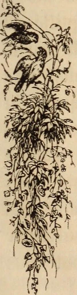An illustration from Les heures de loisir, 1842, leaf 14