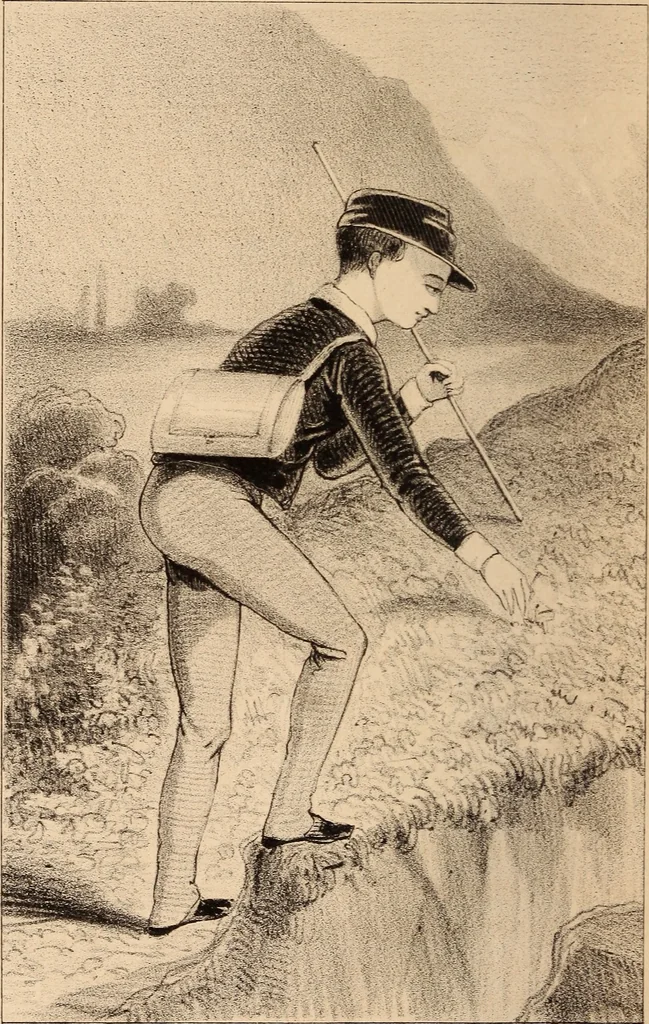 An illustration from Les heures de loisir, 1842, leaf 157