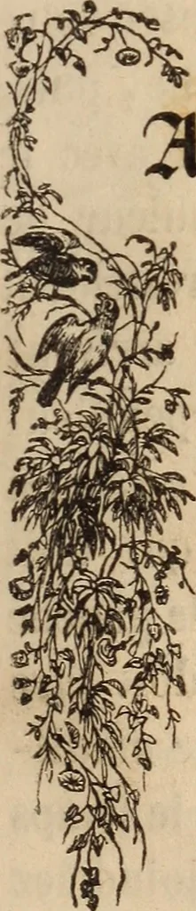 An illustration from Les heures de loisir, 1842, leaf 210