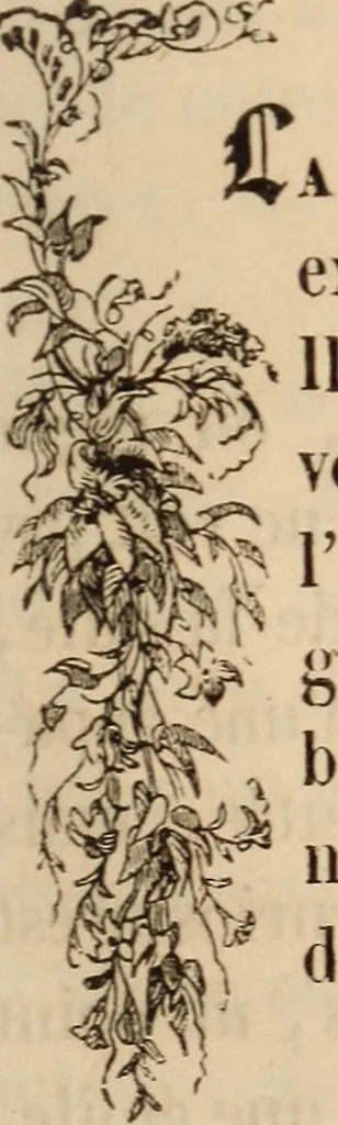 An illustration from Les heures de loisir, 1842, leaf 96