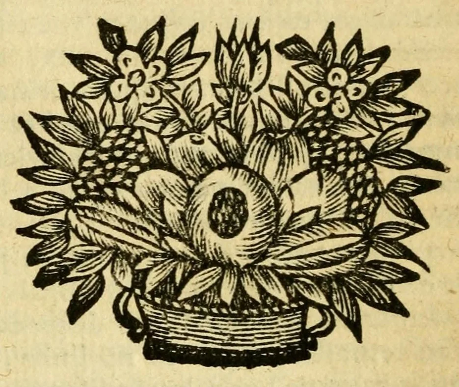 An illustration from Les histoires de Polybe : avec les fragmens ov extraits dv Mesme Avthevr, contenant la pluspart des Ambassades, 1669, leaf 252