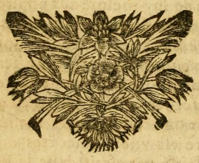 An illustration from Les histoires de Polybe : avec les fragmens ov extraits dv Mesme Avthevr, contenant la pluspart des Ambassades, 1669, leaf 529