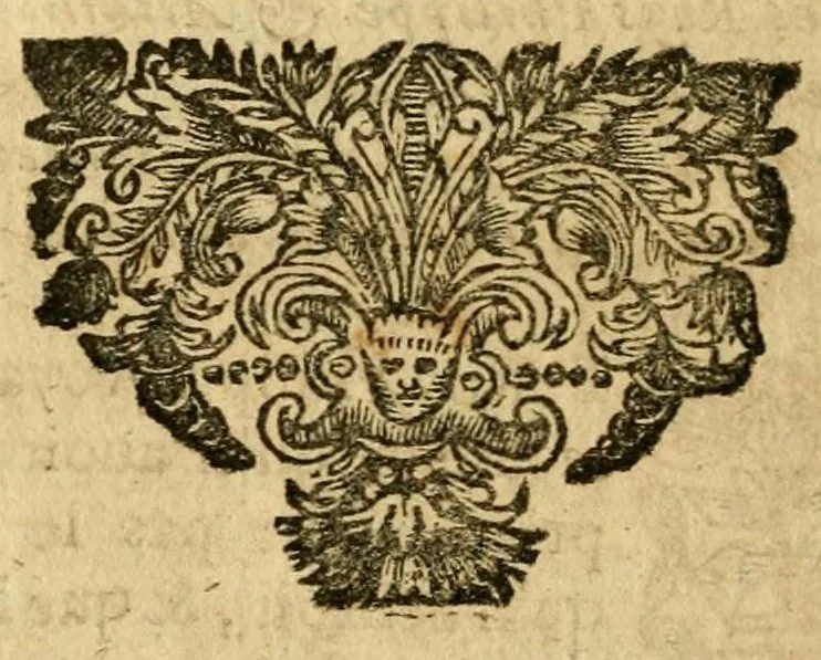 An illustration from Les histoires de Polybe : avec les fragmens ov extraits dv Mesme Avthevr, contenant la pluspart des Ambassades, 1669, leaf 612