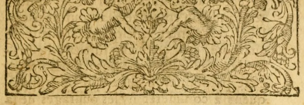 An illustration from Les histoires de Polybe : avec les fragmens ov extraits dv Mesme Avthevr, contenant la pluspart des Ambassades, 1669, leaf 613