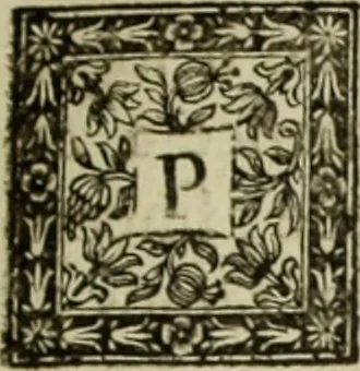 An illustration from Les hommes illustres qui ont paru en France pendant ce siecle : avec leurs portraits au naturel, 1696, leaf 116