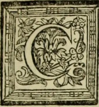 An illustration from Les hommes illustres qui ont paru en France pendant ce siecle : avec leurs portraits au naturel, 1696, leaf 156