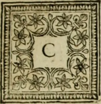 An illustration from Les hommes illustres qui ont paru en France pendant ce siecle : avec leurs portraits au naturel, 1696, leaf 160