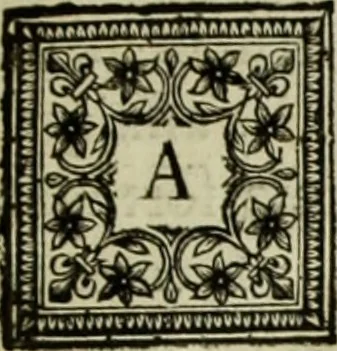 An illustration from Les hommes illustres qui ont paru en France pendant ce siecle : avec leurs portraits au naturel, 1696, leaf 20