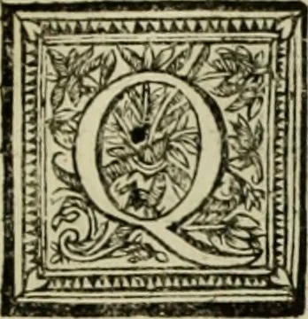 An illustration from Les hommes illustres qui ont paru en France pendant ce siecle : avec leurs portraits au naturel, 1696, leaf 204