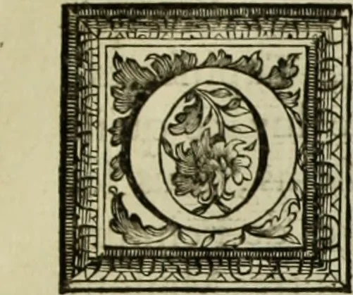 An illustration from Les hommes illustres qui ont paru en France pendant ce siecle : avec leurs portraits au naturel, 1696, leaf 208