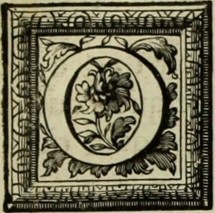 An illustration from Les hommes illustres qui ont paru en France pendant ce siecle : avec leurs portraits au naturel, 1696, leaf 212