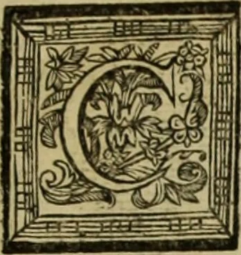 An illustration from Les hommes illustres qui ont paru en France pendant ce siecle : avec leurs portraits au naturel, 1696, leaf 224