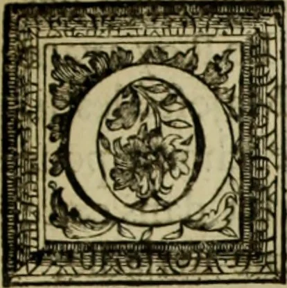 An illustration from Les hommes illustres qui ont paru en France pendant ce siecle : avec leurs portraits au naturel, 1696, leaf 76