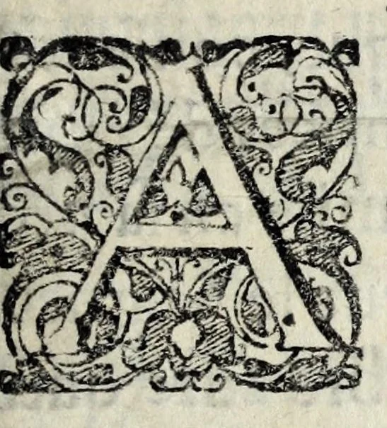 An illustration from Le siege de Metz par l'empereur Charles V en l'an M.D.LII : où l'on voit comme Monsieur de Guise & plusieurs grands seigneurs de France, qui estoient dans ladite ville ce sont comportés a la deffence de la place, 1665, leaf 23