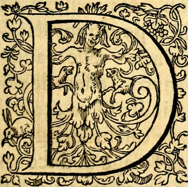 An illustration from Les images des dievx des anciens : contenans les idoles, covstvmes, ceremonies, & autres choses appartenans à la religion des payens, 1581, leaf 20