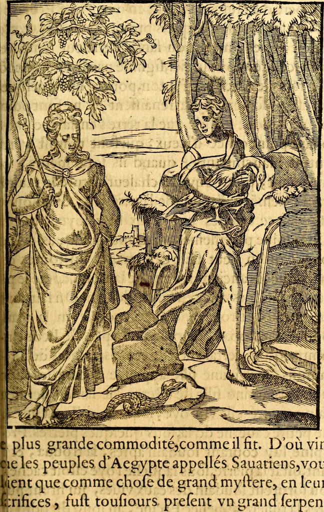 An illustration from Les images des dievx des anciens : contenans les idoles, covstvmes, ceremonies, & autres choses appartenans à la religion des payens, 1581, leaf 308